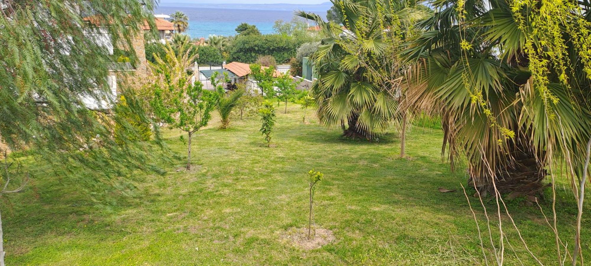 Villa Helga Exotic Pefkochori Zewnętrze zdjęcie